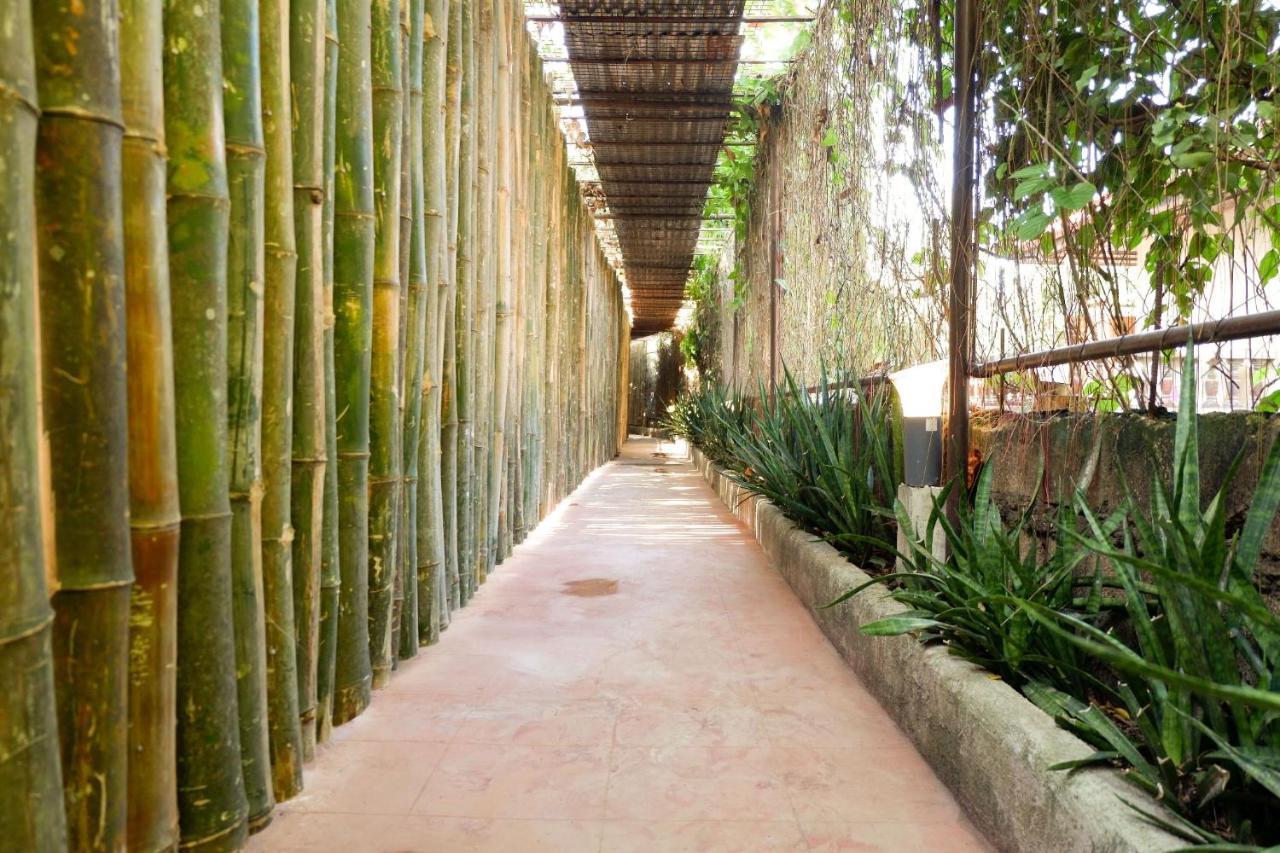 Reddoorz Near Maribago Barangay Hall Lapu-Lapu City Exterior photo